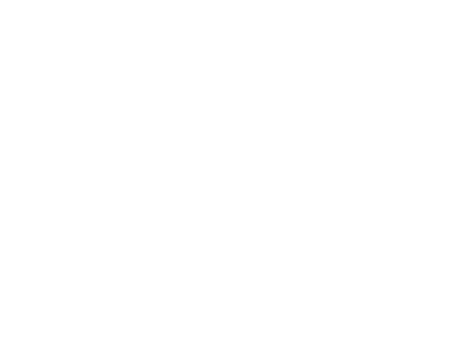 Esthetic Retreat